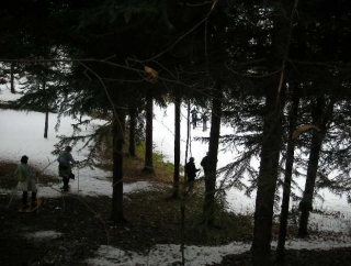 Excursiones con raquetas de nieve 